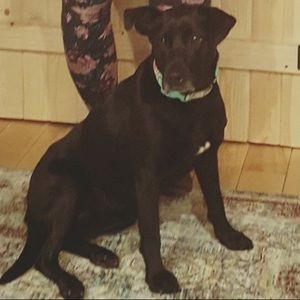 Meet your Posher, Danielle